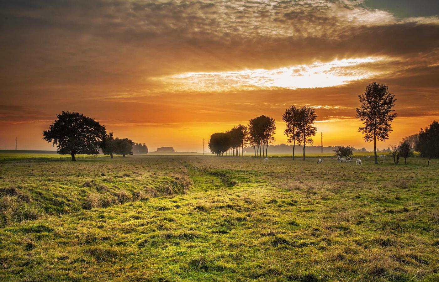 Фотография члена команды